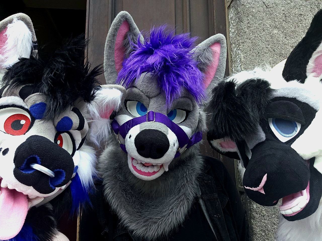 A group of furries